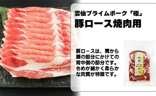 「雲仙きわみ豚 ロース 生姜焼き・焼肉用」