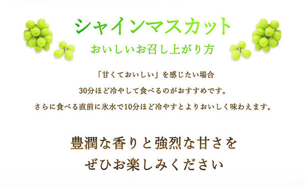 「産地おまかせ シャインマスカット」