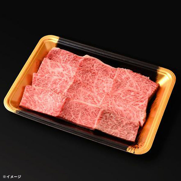 格之進「熟成肉＆国産牛のカルビセット」