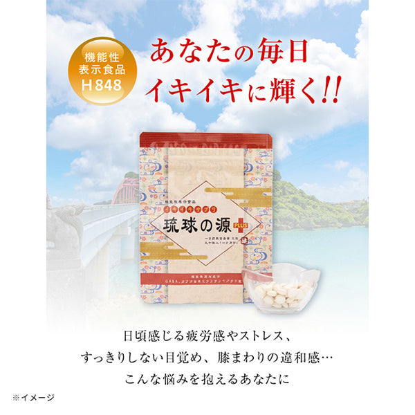 「琉球の源PLUS」