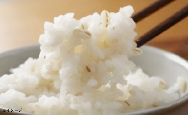 健美創菜「こんにゃく米入り胚芽押麦ごはん」