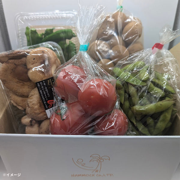 「旬の房総野菜詰め合わせ」