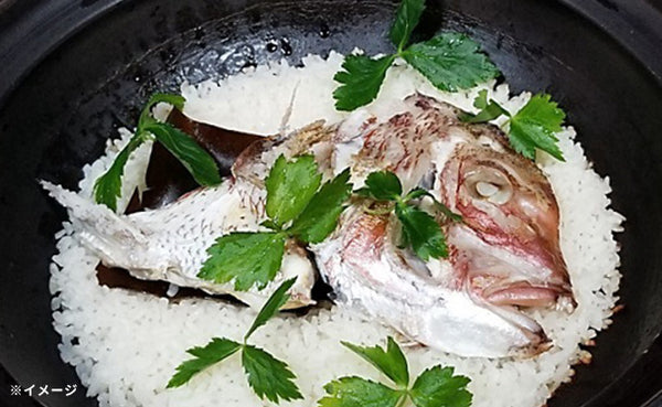 「おためし鯛茶漬け 鯛めし付き」