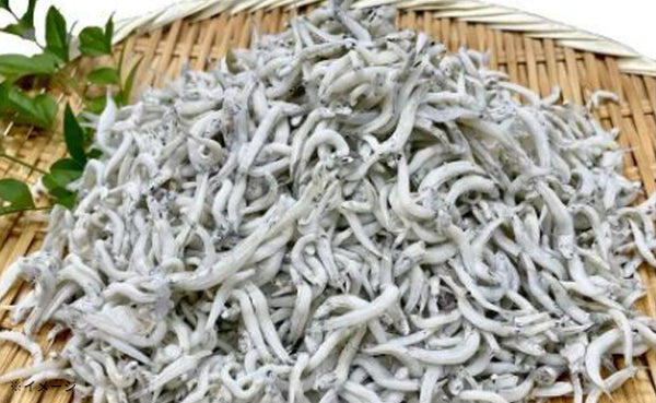 「朝獲れ直送 釜揚げしらす」