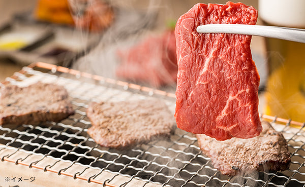 「氷温R熟成肉 国産黒毛和牛焼肉（LH-W-Y040-1）」