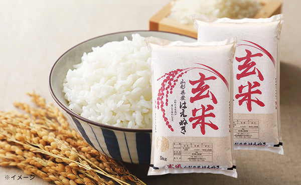 山形県産「はえぬき 玄米」