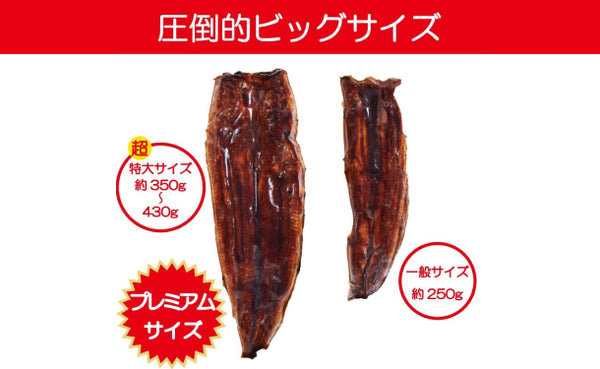 「訳あり 超特大うなぎ蒲焼き」