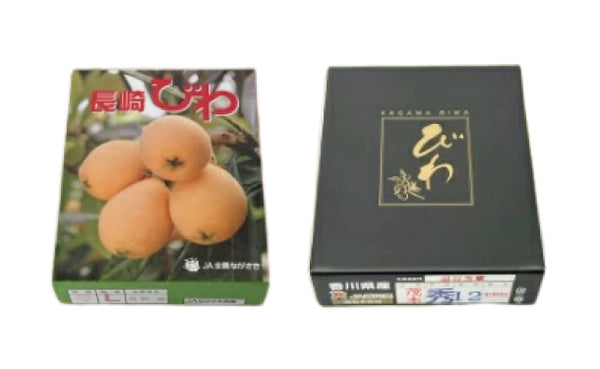長崎・香川県産「びわ  L～２Lサイズ 化粧箱入り」