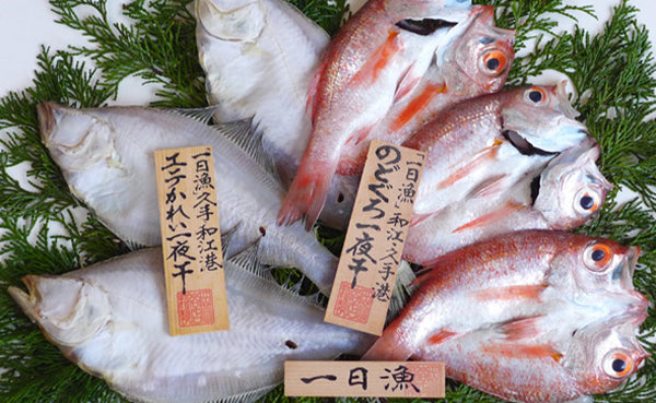 「一日漁 のどぐろ・かれい一夜干」
