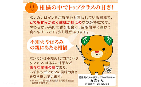 愛媛県産「訳ありポンカン（M-2L）」