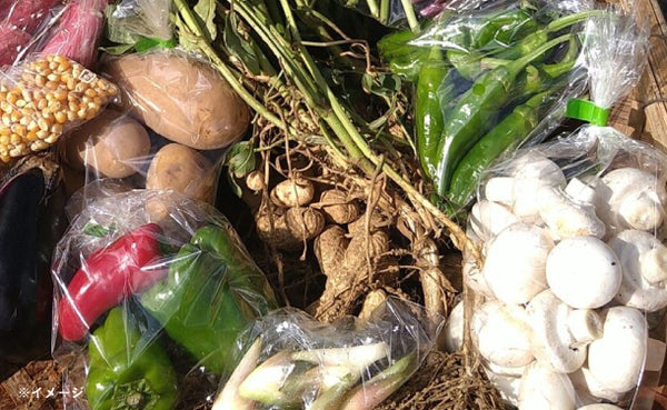 「千葉県産 野菜ボックス Mサイズ（3〜4名分）」
