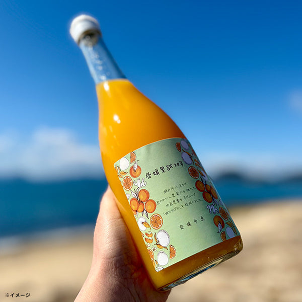 愛媛県産「愛媛果試28号（紅マドンナ）のみを絞ったみかんジュース」720ml×2本【クラチャレふるさとだより】