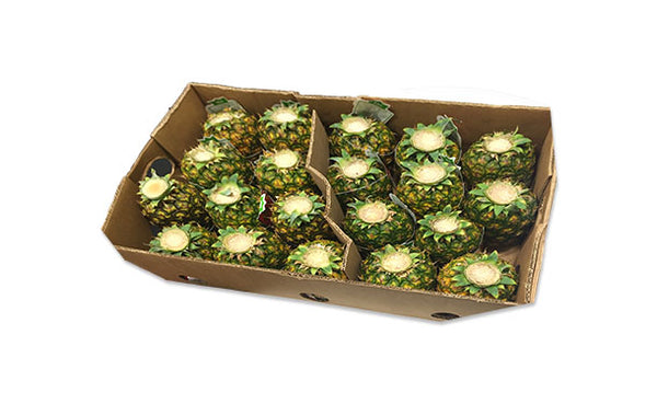 フィリピン産「小玉パイナップル（葉無し）」