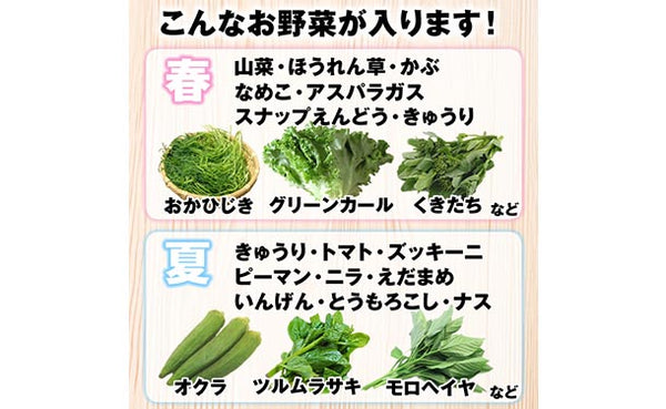 「山形市場直送 おまかせ野菜セット 7品目」