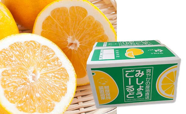 愛媛県産「河内晩柑（みしょうゴールド）」