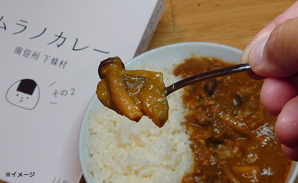 「長野県下條村 ムラノカレー 10食セット」