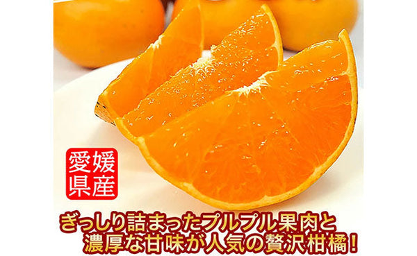 愛媛県産「訳あり せとか 中～大玉（L～4L）」