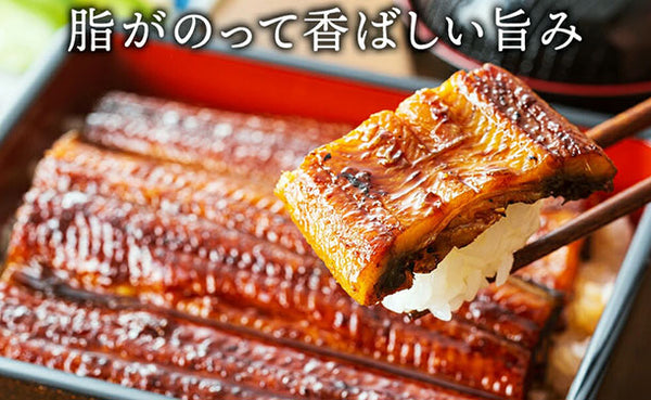 「国産うなぎのかば焼き 特大サイズ」