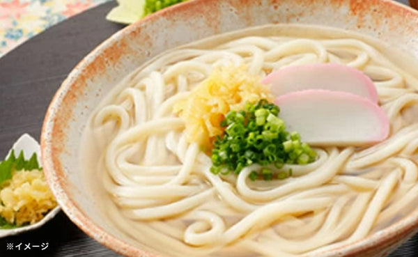 「訳あり半生讃岐うどん」