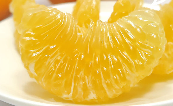 愛媛県産「甘夏柑（L-3L）」