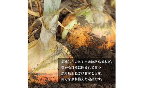 「えびすもち豚と淡路牛の合挽ハンバーグ」
