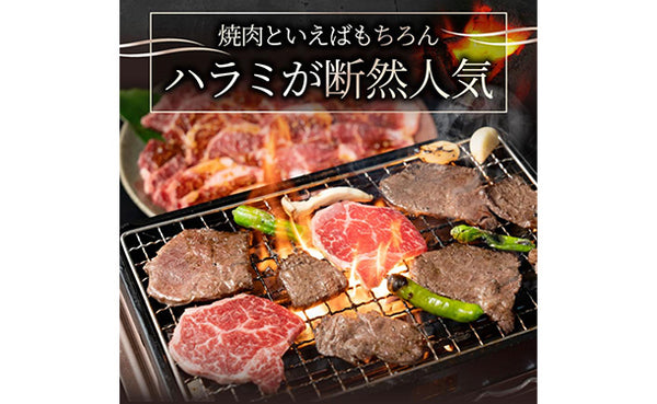 「贅沢赤身の牛ハラミ焼肉」