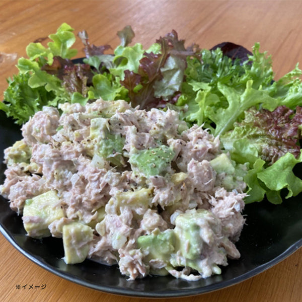 いなば「ライトツナ 食塩無添加（70g×3缶）」