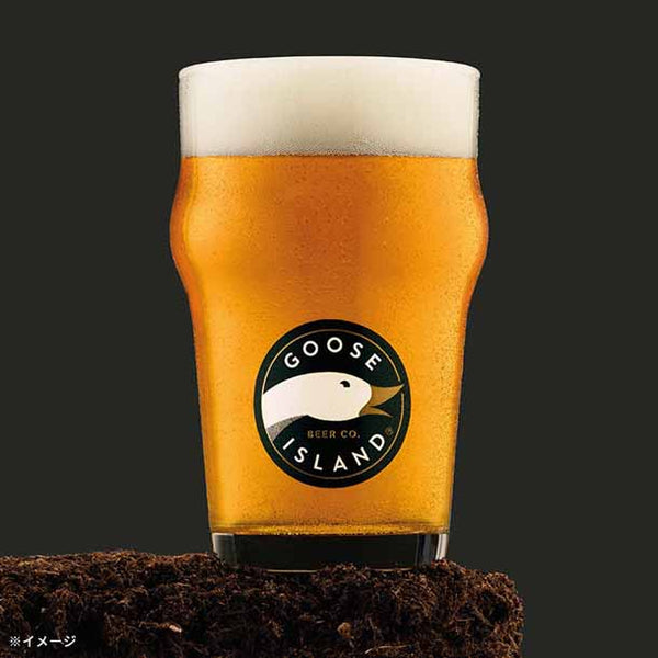 「グースアイランド ダックダックグース Session IPA」