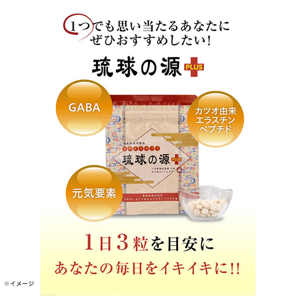 「琉球の源PLUS」