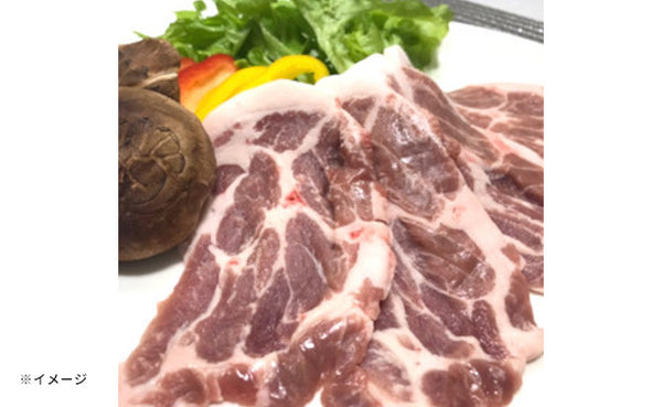 静岡県産「幻の赤豚（デュロック種）焼き肉2種セット」