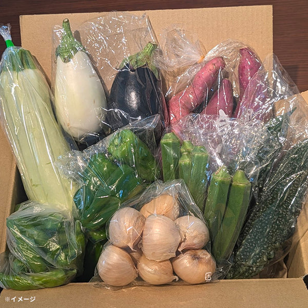 「旬の房総野菜詰め合わせ」