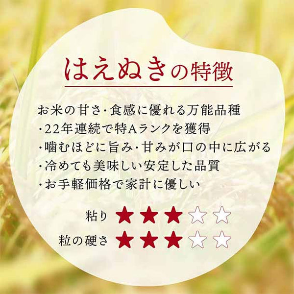 令和6年産「はえぬき 無洗米」
