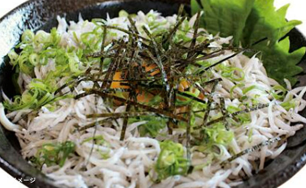 「朝獲れ直送 釜揚げしらす」