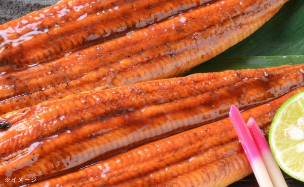 「訳あり 超特大うなぎ蒲焼き」