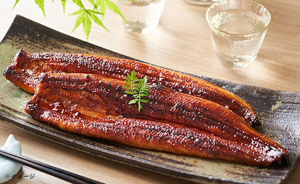 「浜松・浜名湖うなぎ蒲焼セット」
