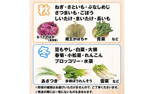 「山形市場直送 おまかせ野菜セット 7品目」