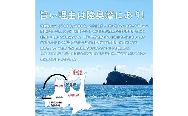 青森県産「むつ湾の活ほたて」2kg（12～14枚）