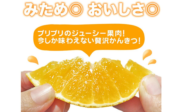 愛媛県産「秀品みかん まどんな（愛果28号）」約3kg（10～15玉）