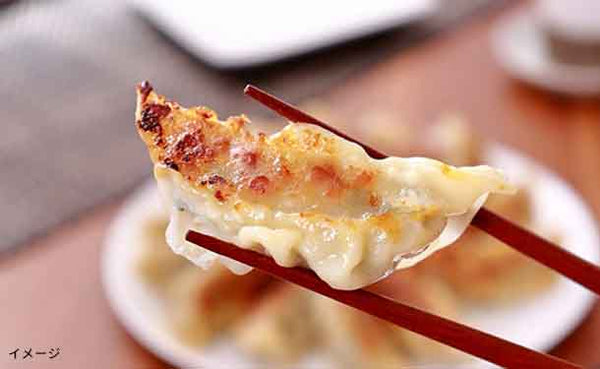 「元気豚 特製肉餃子」