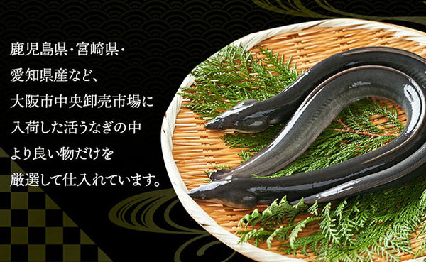 「国産うなぎのかば焼き 特大サイズ」