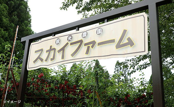 島根県益田市産「家庭用 旬の梨セット」5kg【クラチャレふるさとだより】
