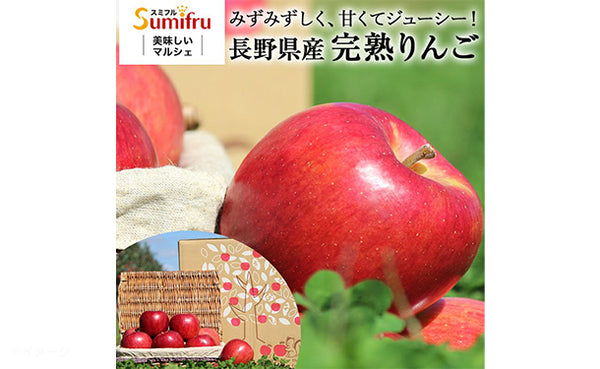 長野県産「訳あり りんご（サンふじ）」