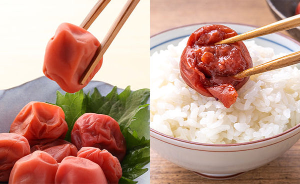 「紀州南高梅 つぶれ梅 Lサイズ しそ味・はちみつ味」