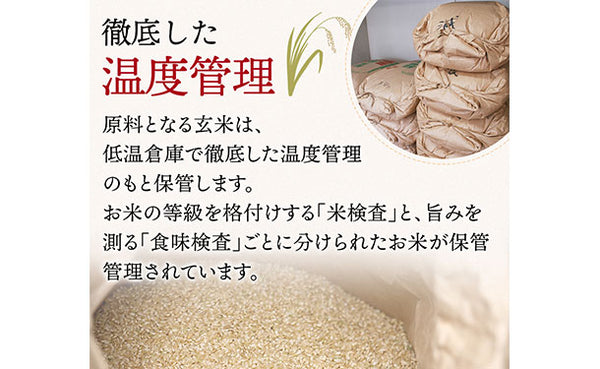 「令和7年産 山形県産 こしひかり」