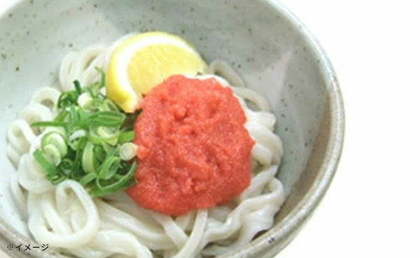 「訳あり半生讃岐うどん」