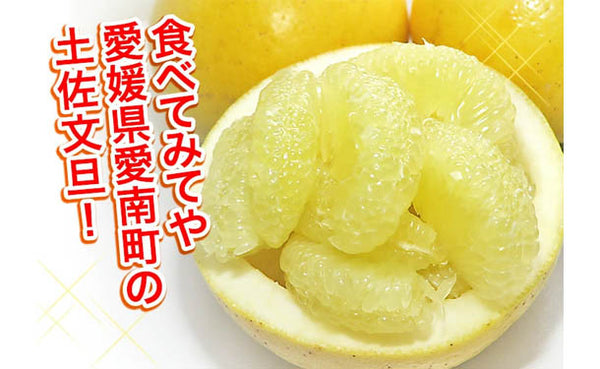 愛媛県産「規格外土佐文旦（M-4L）」