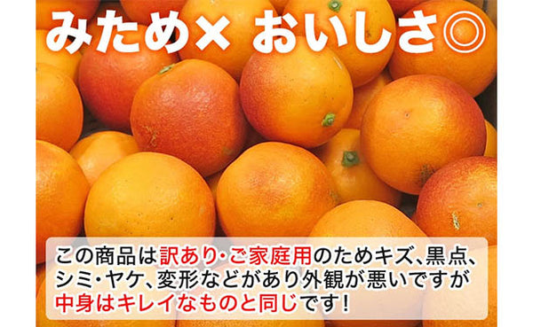 愛媛県産「訳ありブラッドオレンジ（2S-3L）」