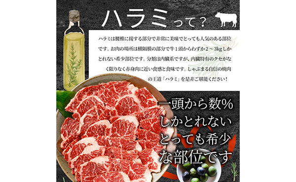 「贅沢赤身の牛ハラミ焼肉」
