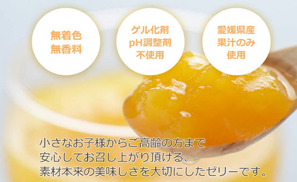 愛媛県産「みかんゼリー 河内晩柑」