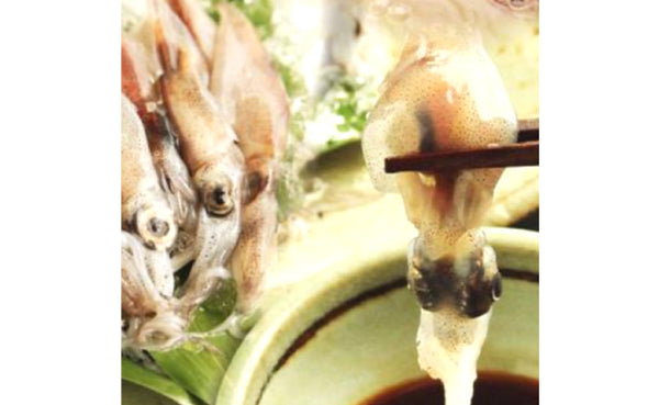 兵庫県産「生ホタルイカ」